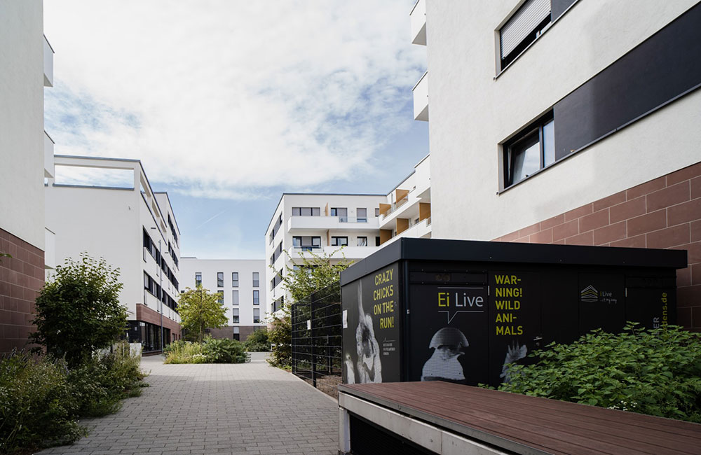 Urban Chickening im Urban Living Essen